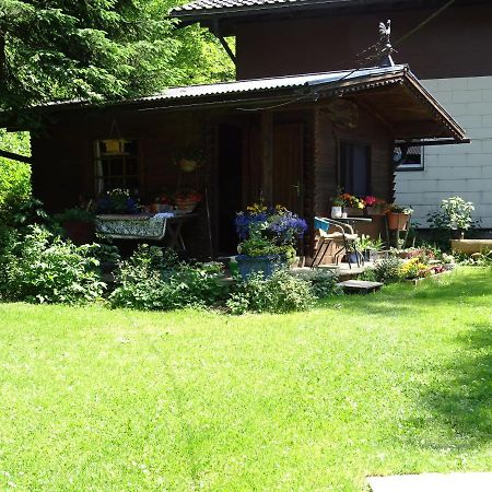Pension Bayrhammer Faistenau Luaran gambar