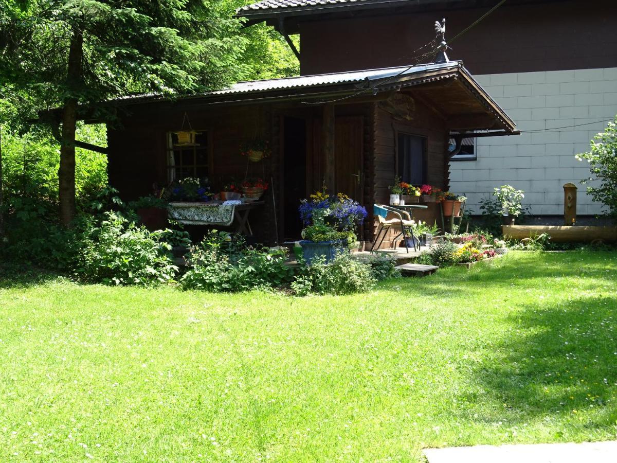 Pension Bayrhammer Faistenau Luaran gambar