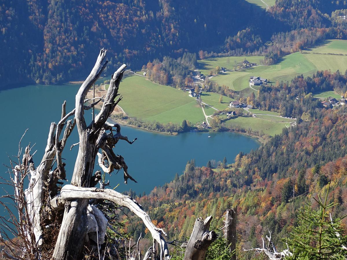 Pension Bayrhammer Faistenau Luaran gambar